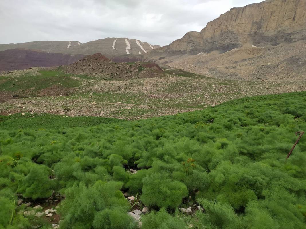 Şırnak’ın Güzellikleri; Keşfedilmeye Değer 12