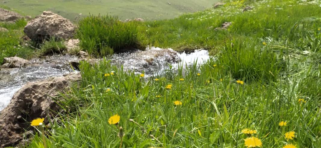 Şırnak’ın Güzellikleri; Keşfedilmeye Değer 13