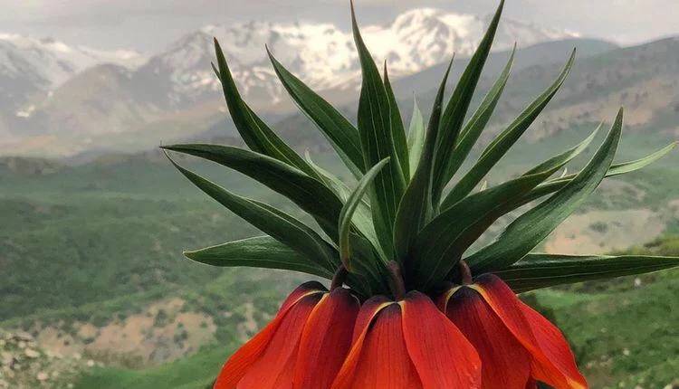 Şırnak’ın Güzellikleri; Keşfedilmeye Değer 10