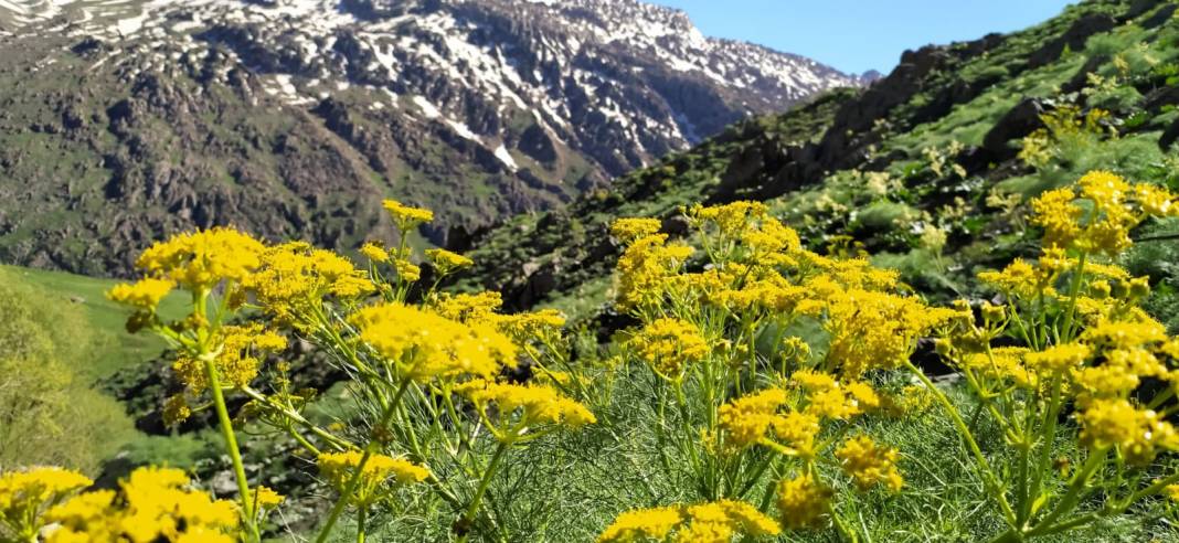 Şırnak’ın Güzellikleri; Keşfedilmeye Değer 3