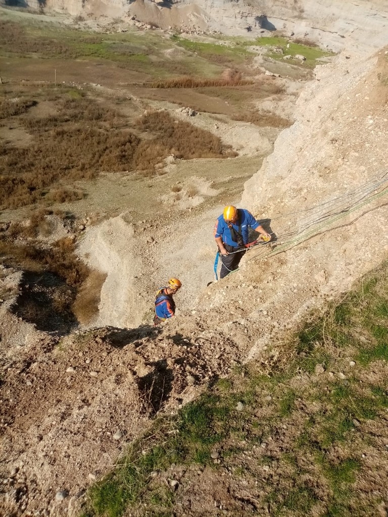 Diyarbakır'da mahsur kalan keçiler ölümün kıyısından iki gün sonra kurtarıldı