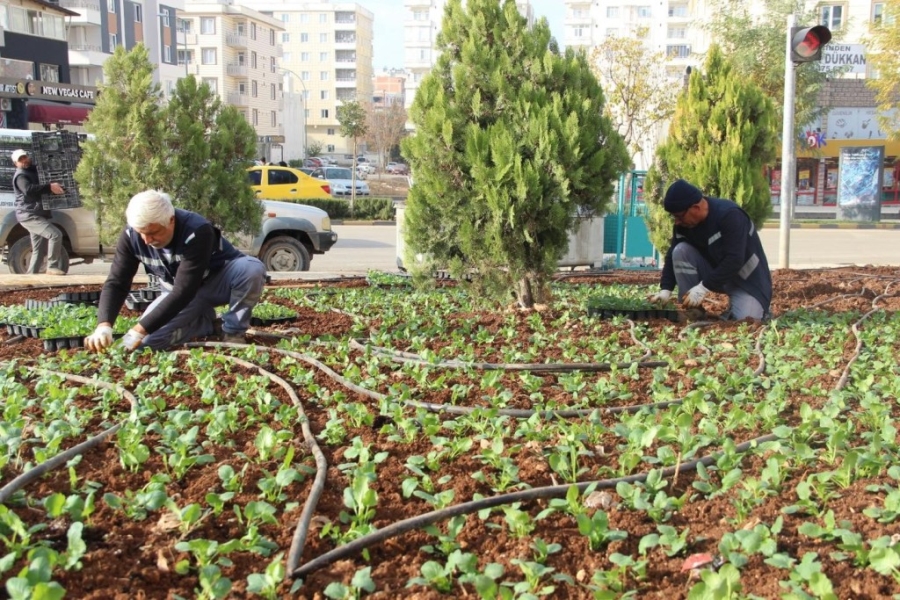 Kilis'te sokaklara kış bakımı