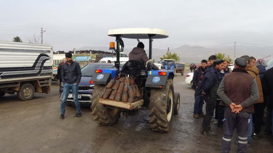 Gercüş’te çiftçilere 35 bin fıstık fidanı dağıtıldı 