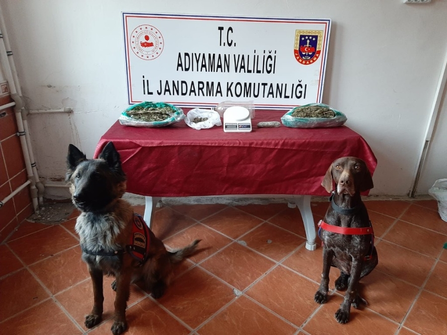 ‘Manken’, ‘Yufka’ ve ‘Arı’ boş geçmiyor 