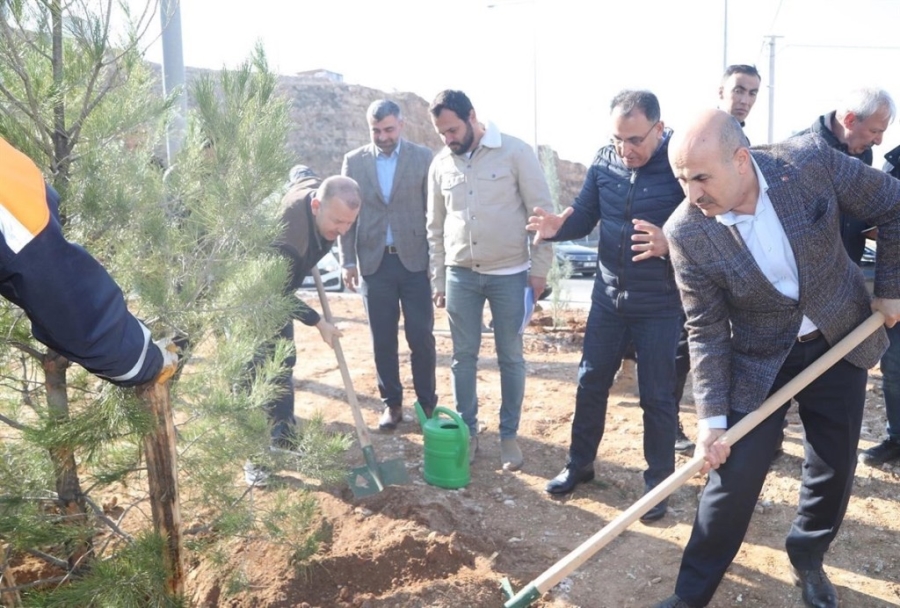 Mardin'de 2 bin ağaç ve fidan daha toprakla buluştu 