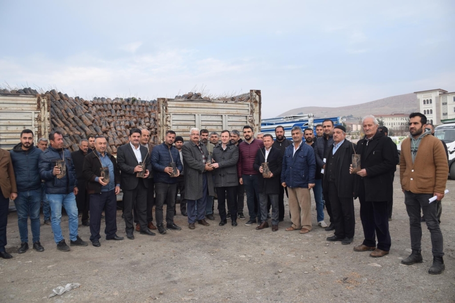 Kozluk’ta çiftçilere 35 bin fıstık fidanı dağıtıldı 