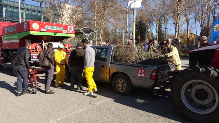 Adıyaman’da, yılbaşı öncesi binlerce fidan dağıtıldı 