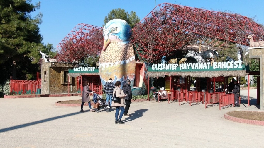 Gaziantep’te yırtıcı hayvanlar için safari park kurulacak
