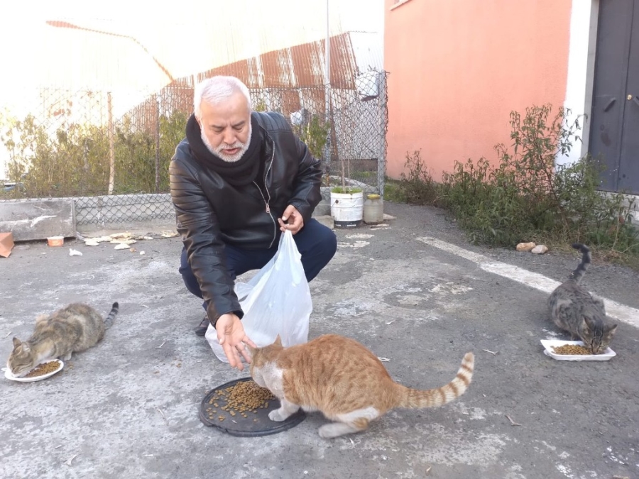 Diyarbakır’da hayırseverler destek veriyor, sokak hayvanları mamasız kalmıyor 