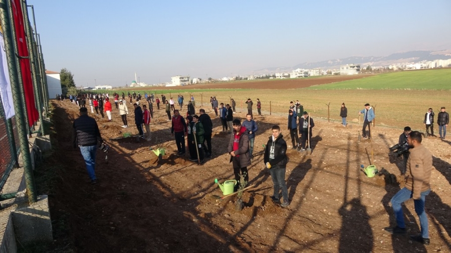 15 Temmuz şehitleri anısına 251 zeytin fidanı dikildi 