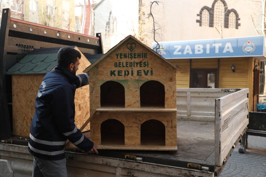 Diyarbakır’da sokak hayvanları için 200 adet ev yerleştirildi 