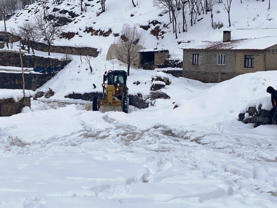 BEYTÜŞŞEBAP'TA KAR KALINLIĞI 1 METREYE ULAŞTI, YOL AÇMA ÇALIŞMALARI DEVAM EDİYOR 