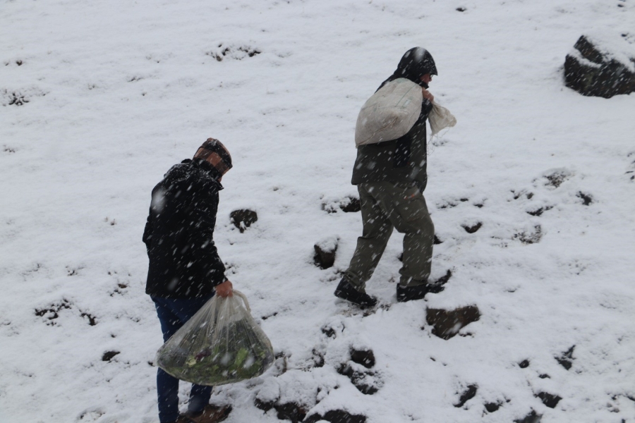Kırsalda kar esareti devam ederken yaban hayvanları unutulmadı