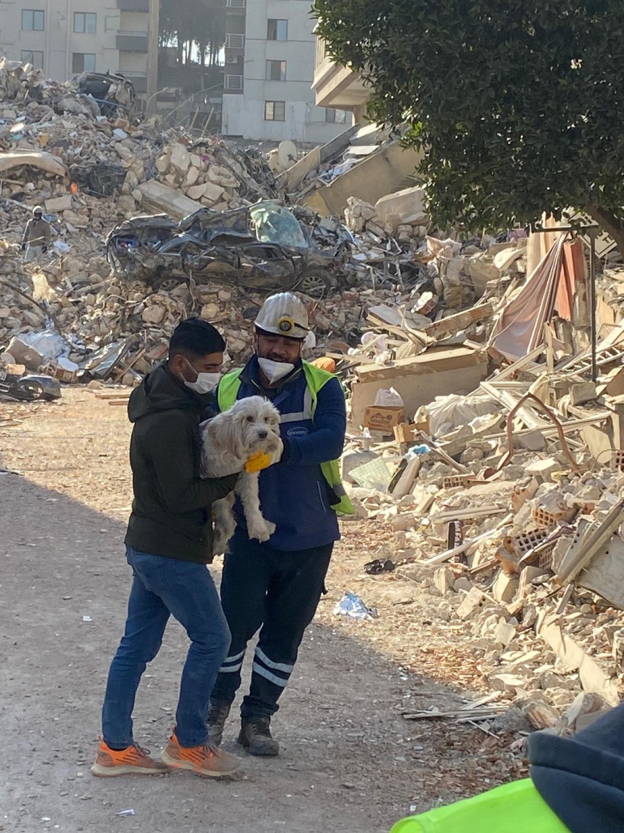 Zonguldaklı madenciler 203’üncü saatte Ponti’yi kurtardı 