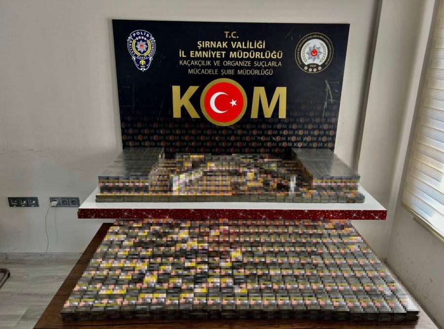 Şırnak’ta asayiş ve kaçakçılık operasyonu: 24 gözaltı