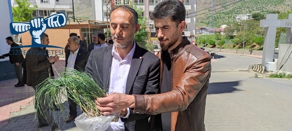 Zuzubak otunun coğrafi işaretle tescillenmeyi bekliyor