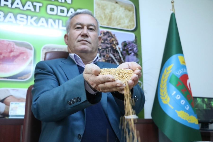 İtalyan makarnasına buğday Gaziantep’ten