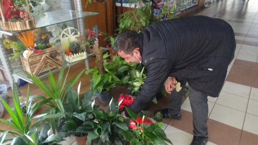 Kış aylarında salon bitkilerinin bakımına dikkat