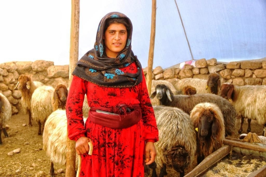 Çocukluğundan beri çobanlık yapan Ayten, 'anne şefkatiyle' kuzulara bakıyor