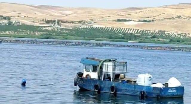 Şanlıurfa’da piknik faciası: 2 ölü, 3 yaralı