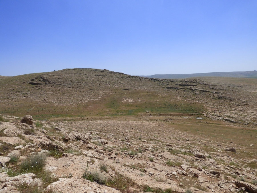 Mardin'de pleistosen ve erken holosen döneme ilişkin arkeolojik yüzey araştırması yapılıyor