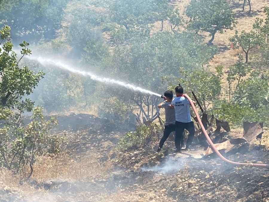 Siirt’te fıstık bahçesinde çıkan yangın söndürüldü