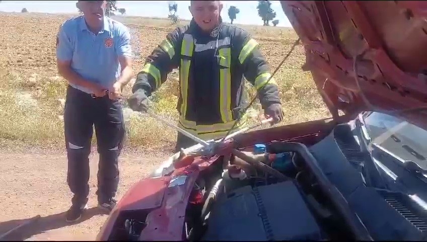 Park halindeki aracın motorundan 1.5 metre uzunluğunda yılan çıktı