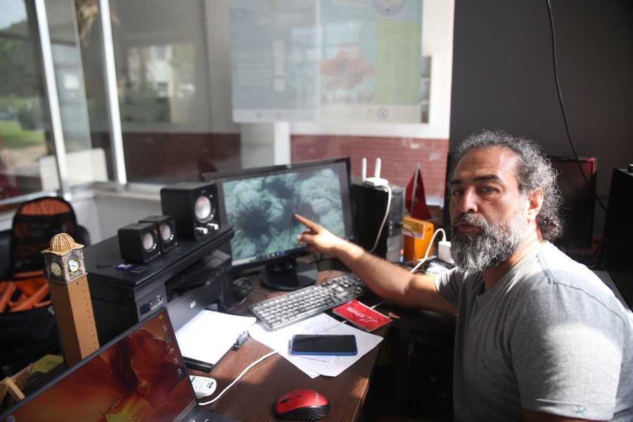 DÜNYADA İLK GERÇEKLEŞİYOR: İNSAN GÖZÜYLE BİR DENİZ TROPİKLEŞİYOR