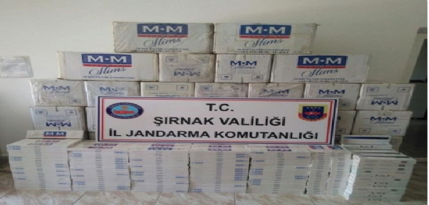 ŞIRNAK`TA KAÇAK SİGARA OPERASYONU