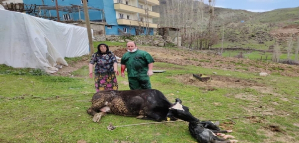 ŞIRNAK`TA ÖĞRENCİLER TİYATROYLA BULUŞTU