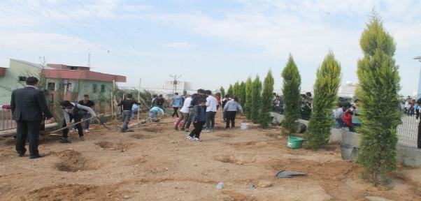 SİLOPİ`DE OKUL BAHÇESİNDE HATIRA ORMANI OLUŞTURULDU