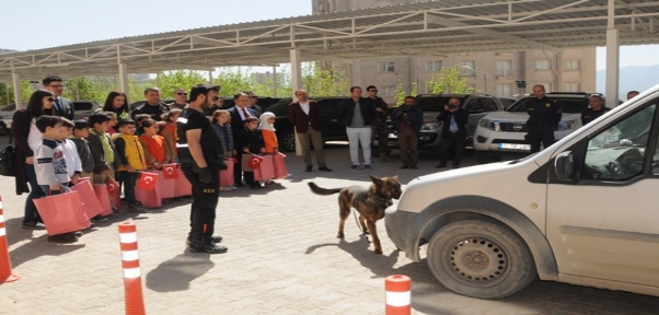 ŞIRNAK`TA ÖĞRENCİLER EĞİTİMLİ KÖPEKLERİ İLGİYLE İZLEDİ