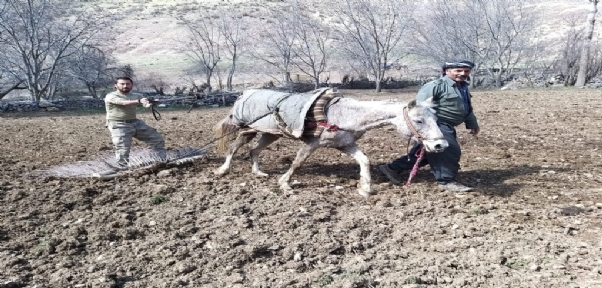 PANCAR IÇIN KILOMETRELER KAT EDIYORLAR