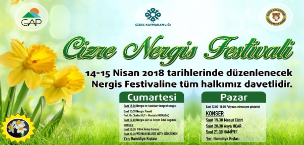 CİZRE`DE FESTİVAL ZAMANI