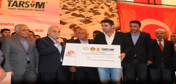 BAKAN FAKIBABA, ŞIRNAK`TA 300 KOYUN PROJESİ`Nİ BAŞLATTI