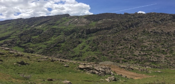 ŞIRNAK`TA 7 BÖLGE ÖZEL GÜVENLİK BÖLGESİ İLAN EDİLDİ