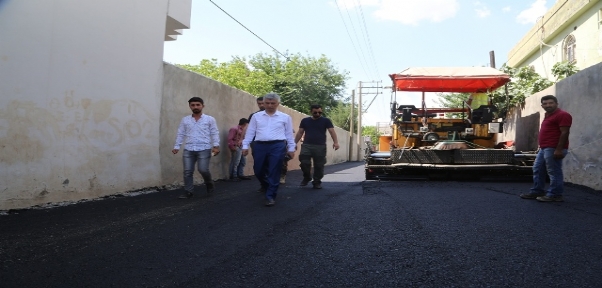 CİZRE`DE CUDİ MAHALLESİNDE YOL ASFALTLAMA ÇALIŞMALARI DEVAM EDİYOR
