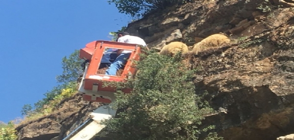BEYTÜŞŞEBAP`TA KOYUN KURTARMA OPERASYONU