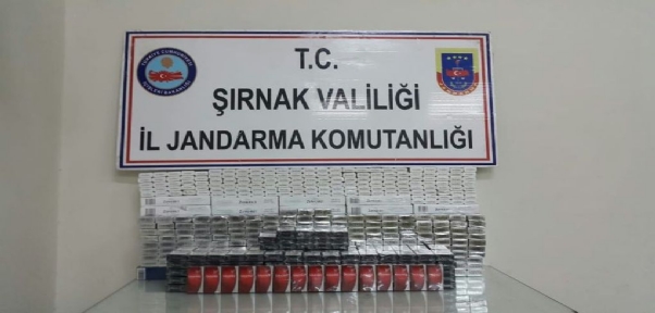 Jandarma 13 Bin 31 Paket Gümrük Kaçağı Sigara Ele Geçirildi