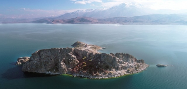 Tatlı Suya Kavuşan Akdamar Adası Yeşilleniyor