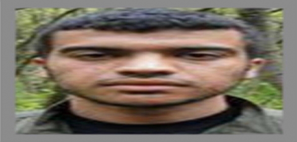 Gri listede aranan PKK`lı teslim oldu