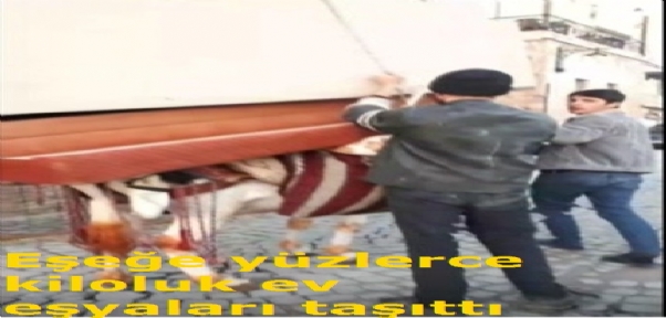 Eşeğe yüzlerce kiloluk ev eşyaları taşıttı