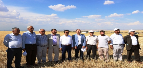 Vali Güzeloğlu, Diyarbakırlı Çiftçilerin Hasat Törenine Katıldı