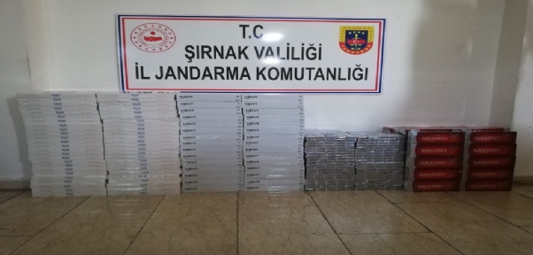 Şırnak`ta 3 bin 760 paket kaçak sigara ele geçirildi