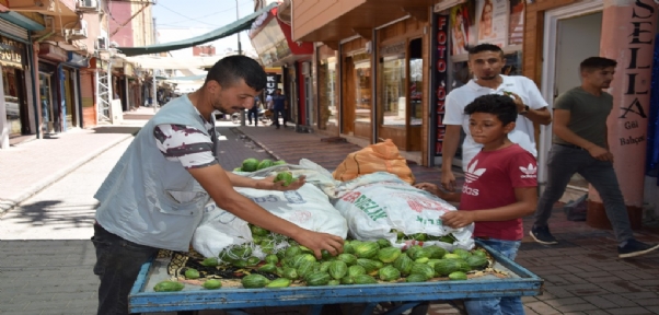 Dışı Karpuza, İçi Kavuna, Tadı Salatalığa Benziyor
