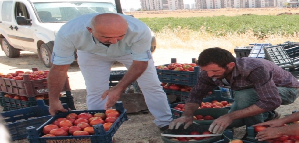 Diyarbakır`da bir ilk