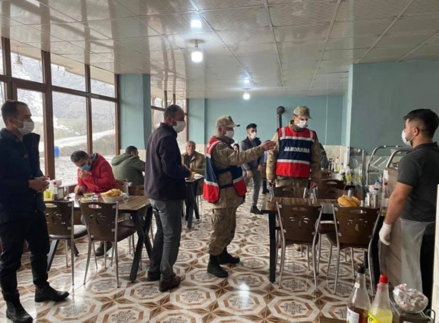 Uludere'de korona virüs denetimi
