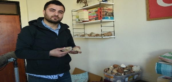 Şanlıurfa`da 10 milyon yıllık balık fosili bulundu