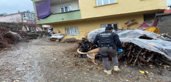 Şırnak`ta Uyuşturucu Operasyonu; 30 Tutuklama