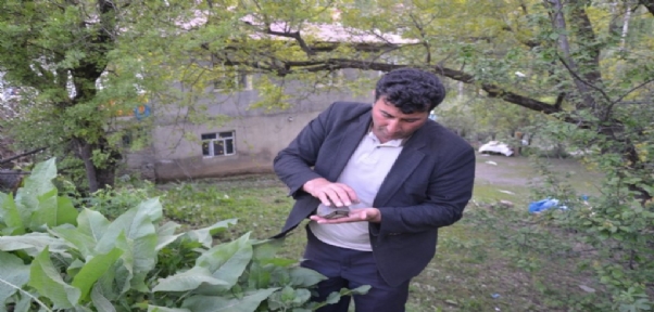 Evini Hayvanat Bahçesine Çevirdi